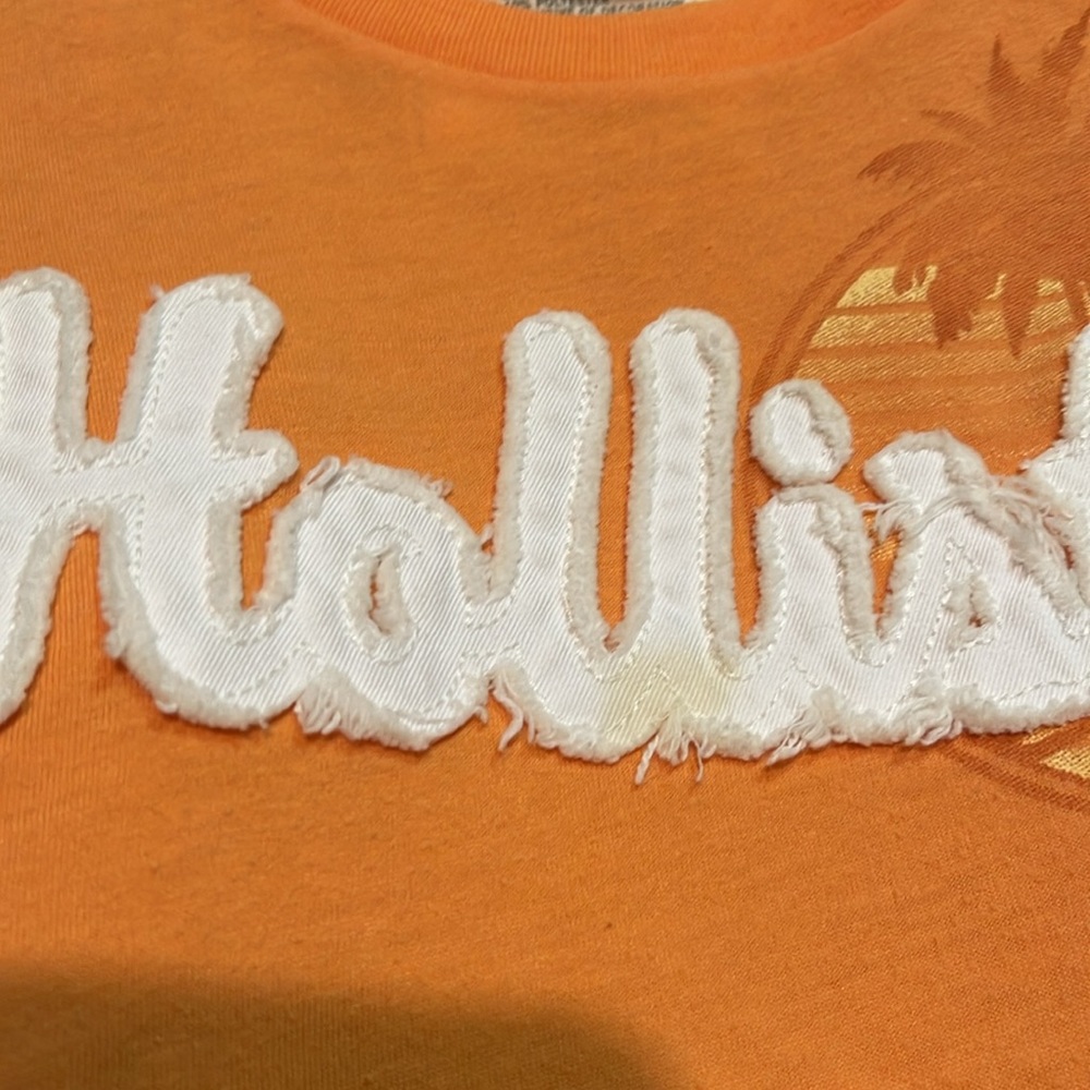 Hollister Brand - Picture 4 of 4
